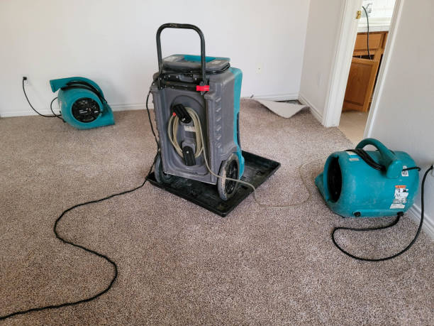 Best Water damage contractors near me  in Kula, HI
