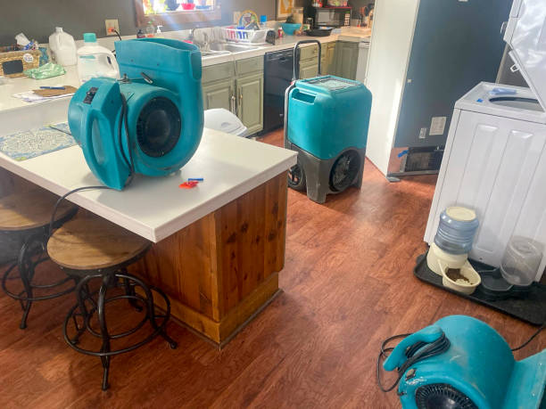 Best Basement water damage restoration  in Kula, HI