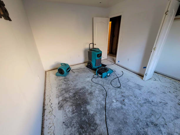 Best Emergency water damage restoration  in Kula, HI