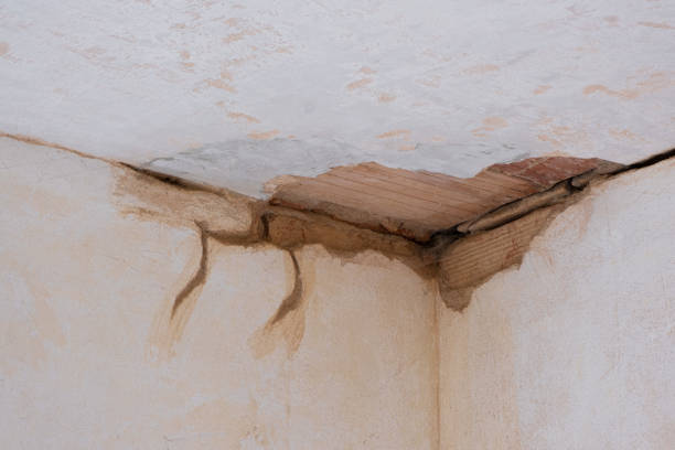 Sewage cleanup and water damage restoration in Kula, HI