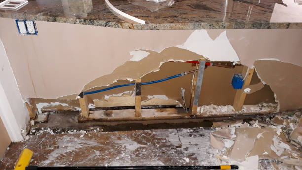 Best Water damage restoration near me  in Kula, HI