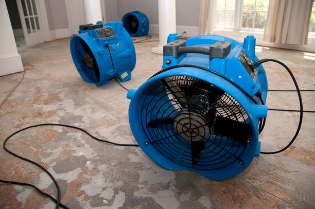 Best Fire Damage Restoration  in Kula, HI