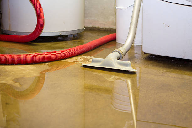 Best Flood restoration services  in Kula, HI