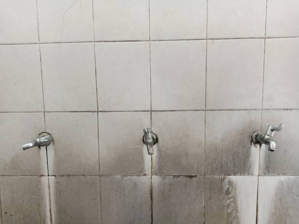 Best Emergency water extraction  in Kula, HI