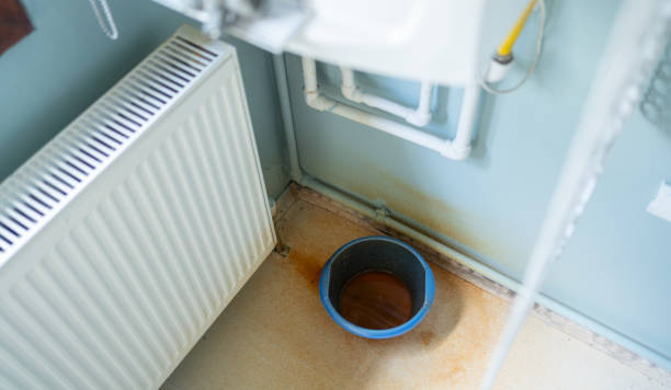 Best Local water damage restoration  in Kula, HI