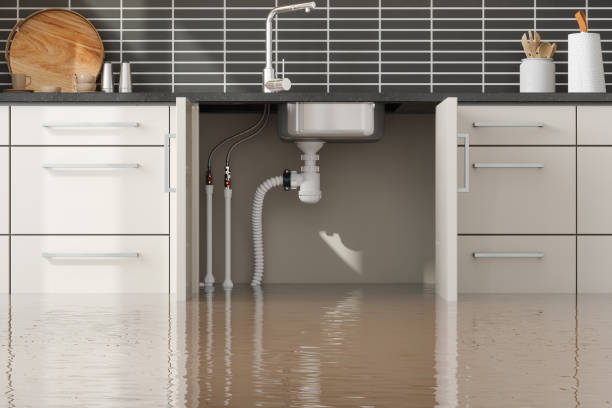 Best Water damage contractors near me  in Kula, HI