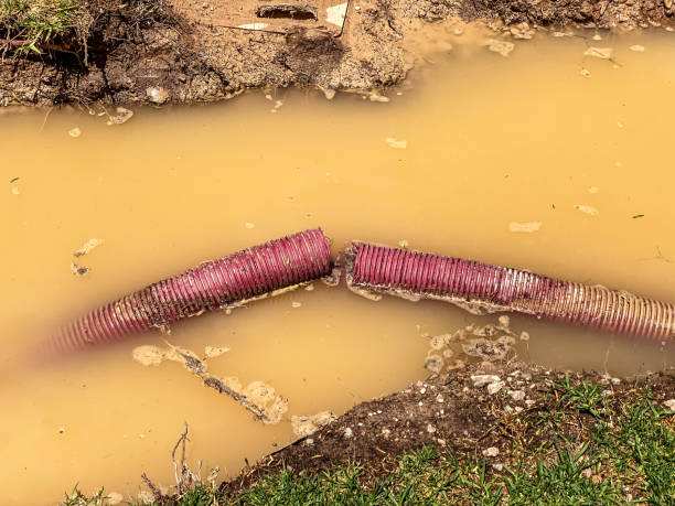 Best Water damage restoration near me  in Kula, HI