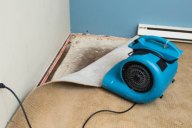 Water damage restoration insurance claims in Kula, HI